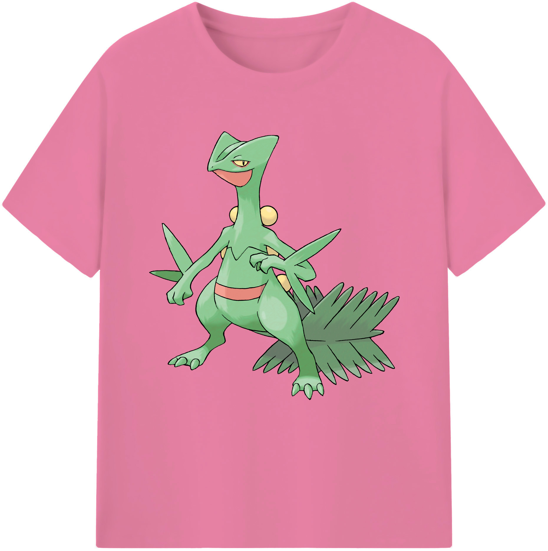 （画像用） ポケットモンスター Pokémon 綿100％半袖Tシャツ（フロントプリント）